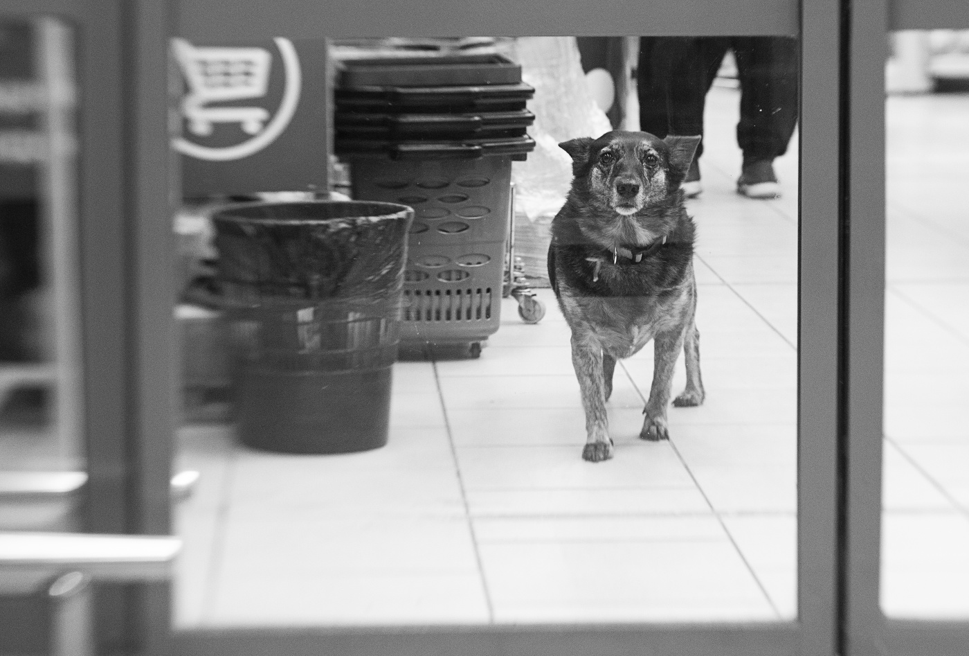 "Пятерочка"