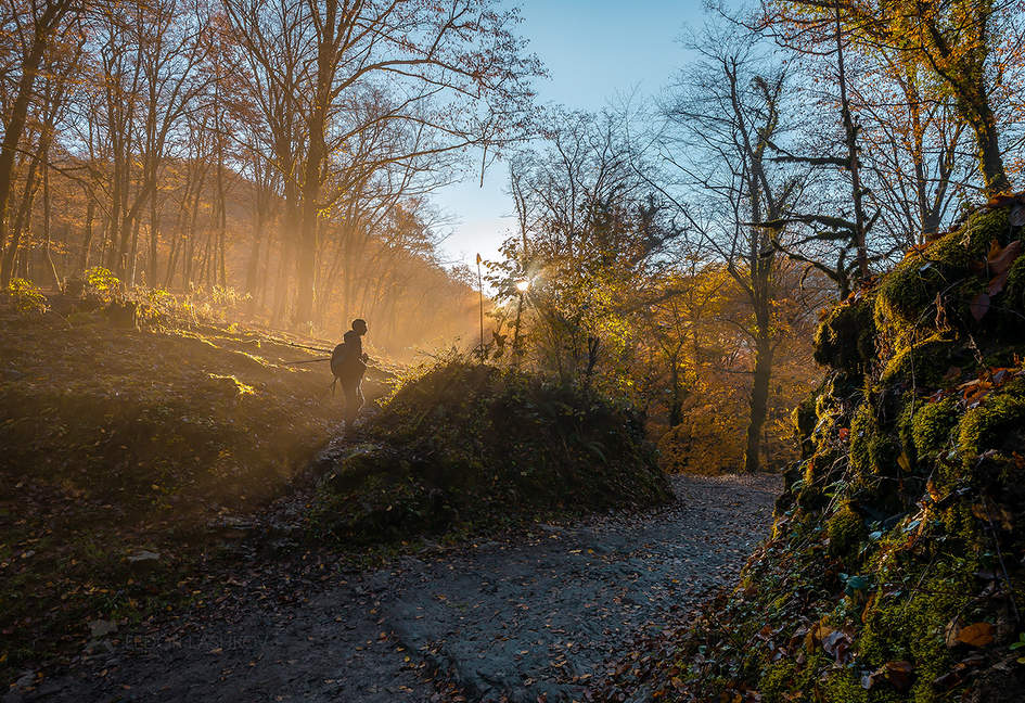 Охота за туманом