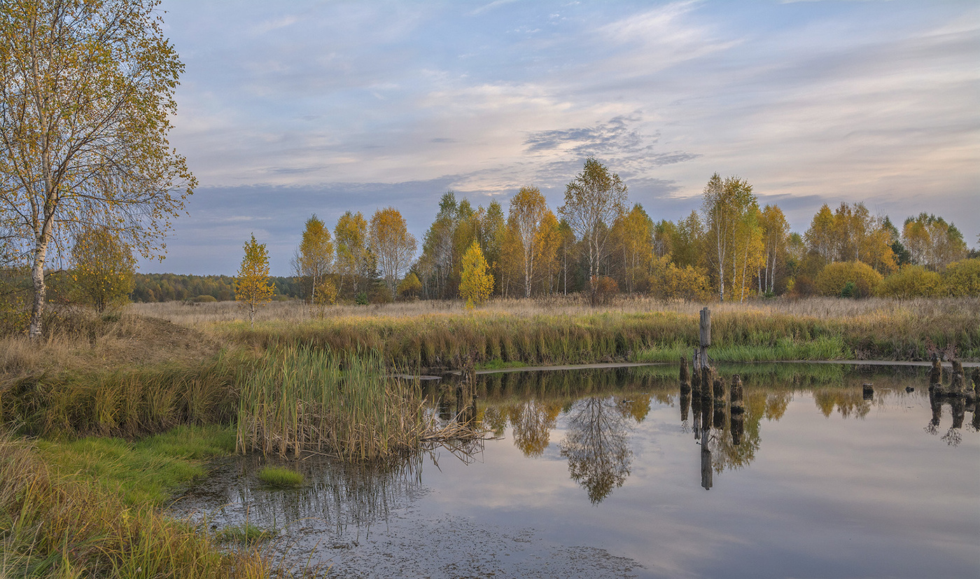 Осенние зарисовки.