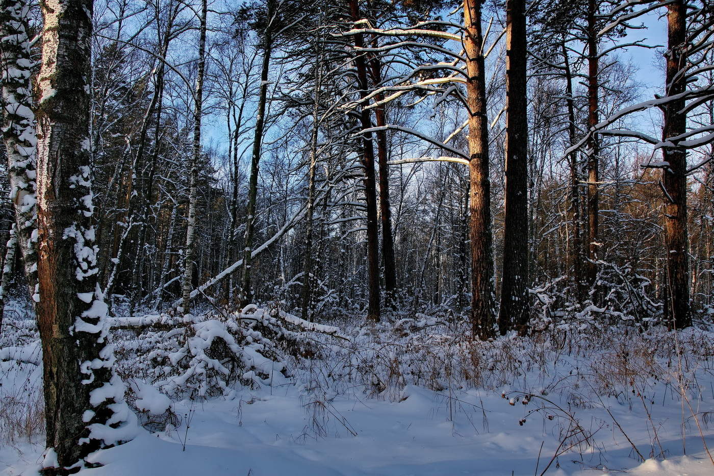 *Начало зимы.**