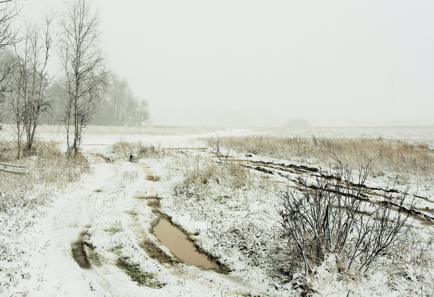"Белою невестой, осень ноября, небо нарядило ..."