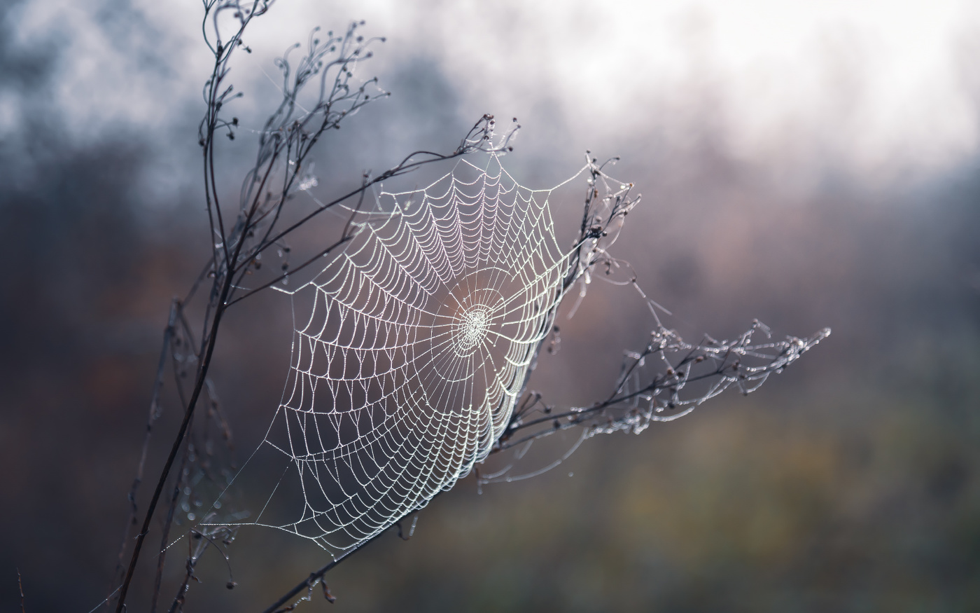 Прощай ноябрь, привет зима