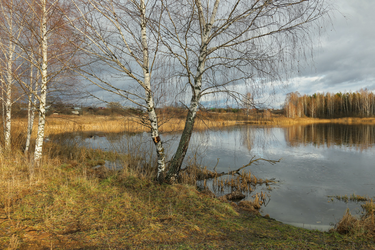 Б.Холм. Ноябрь.