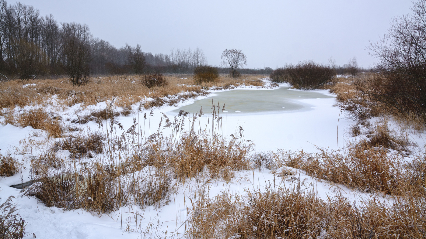 Жизнь вокруг