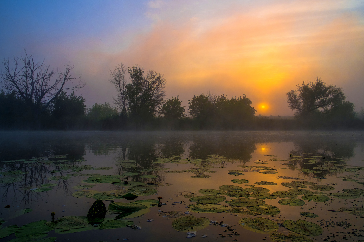 Летняя заря.
