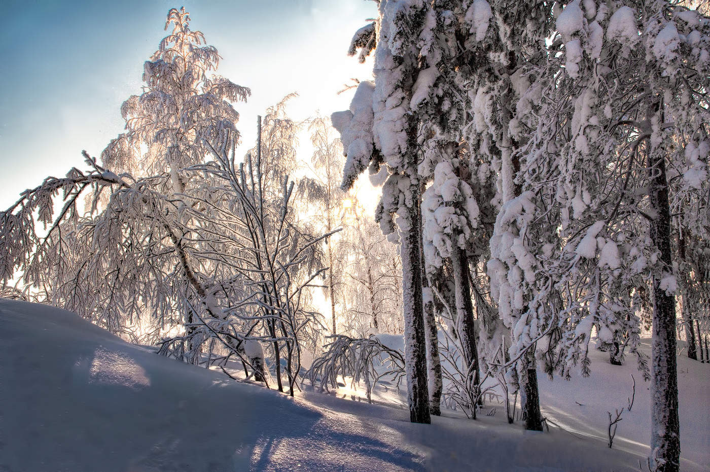 Зимний полдень