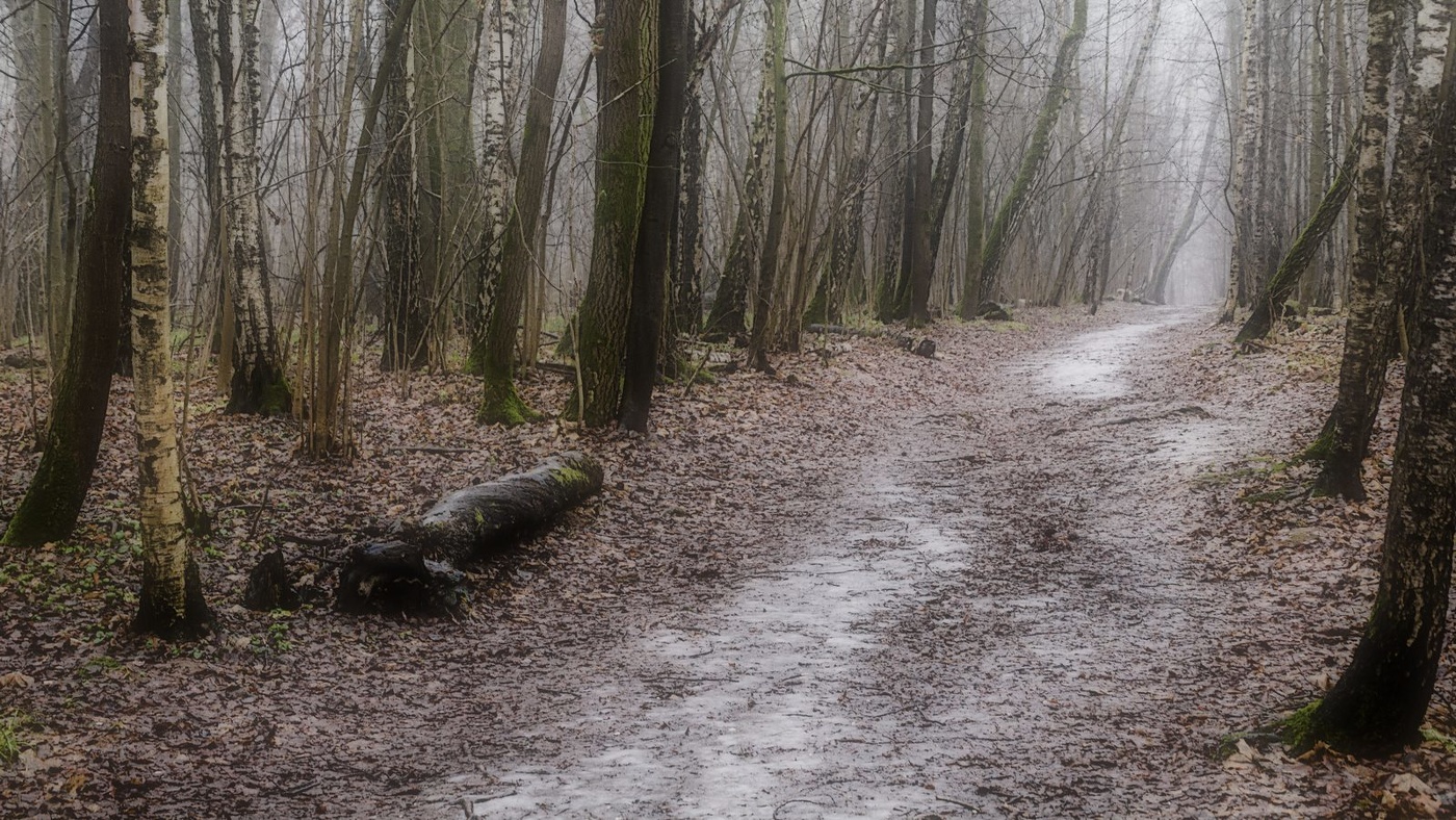 Конец осени