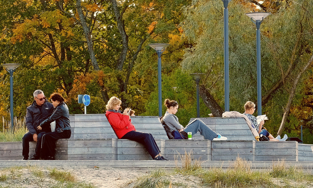 Если у вас нет мужчины .....