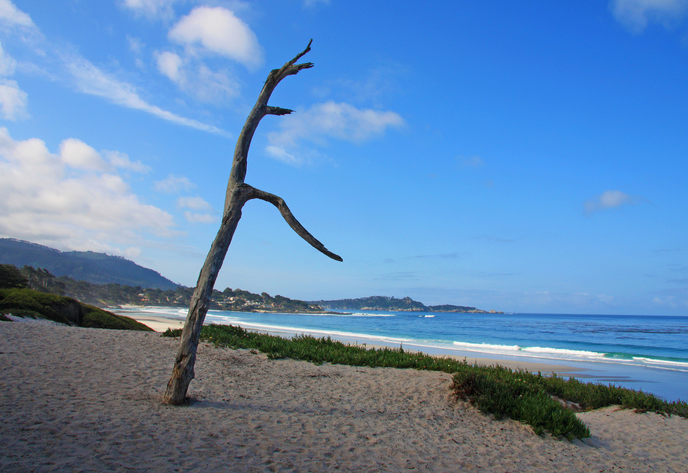 Последний взгляд...