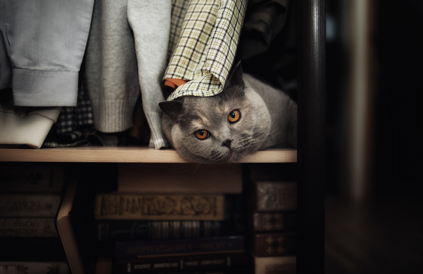 Жил был в шкафу большой умный голова ..)