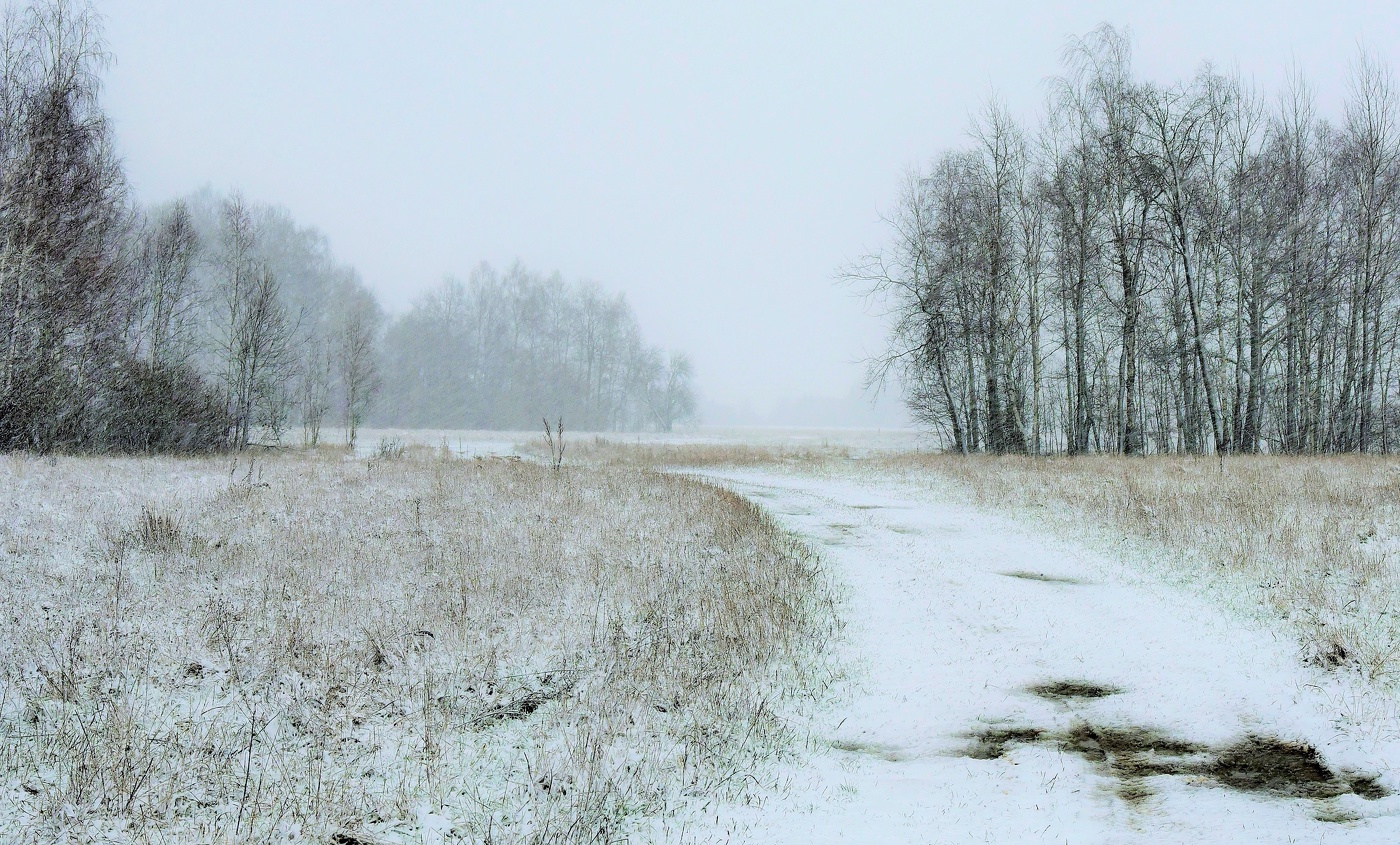 "Вот север, тучи нагоняя, дохнул, завыл..."