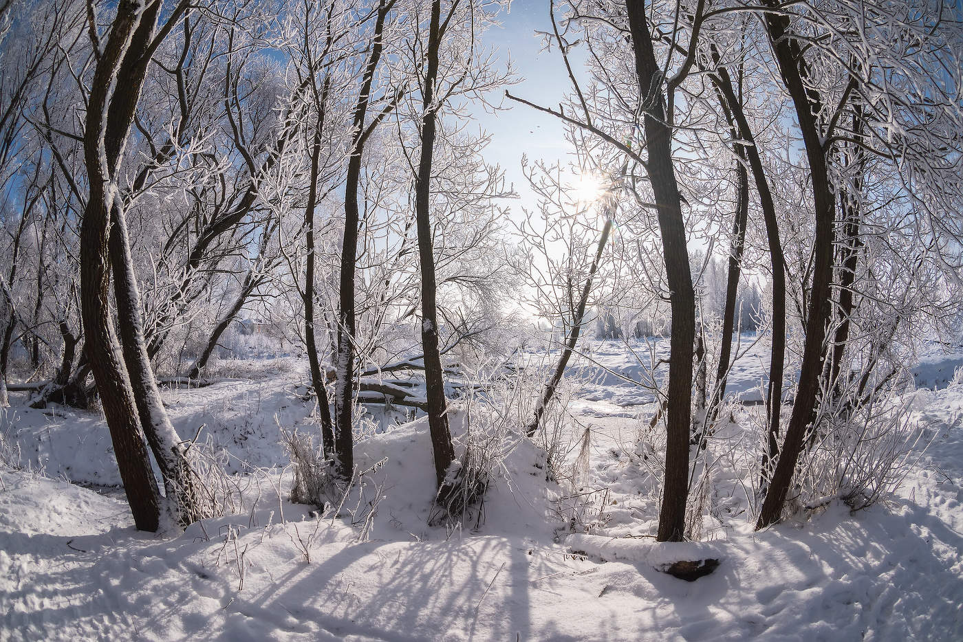 Сегодня морозно