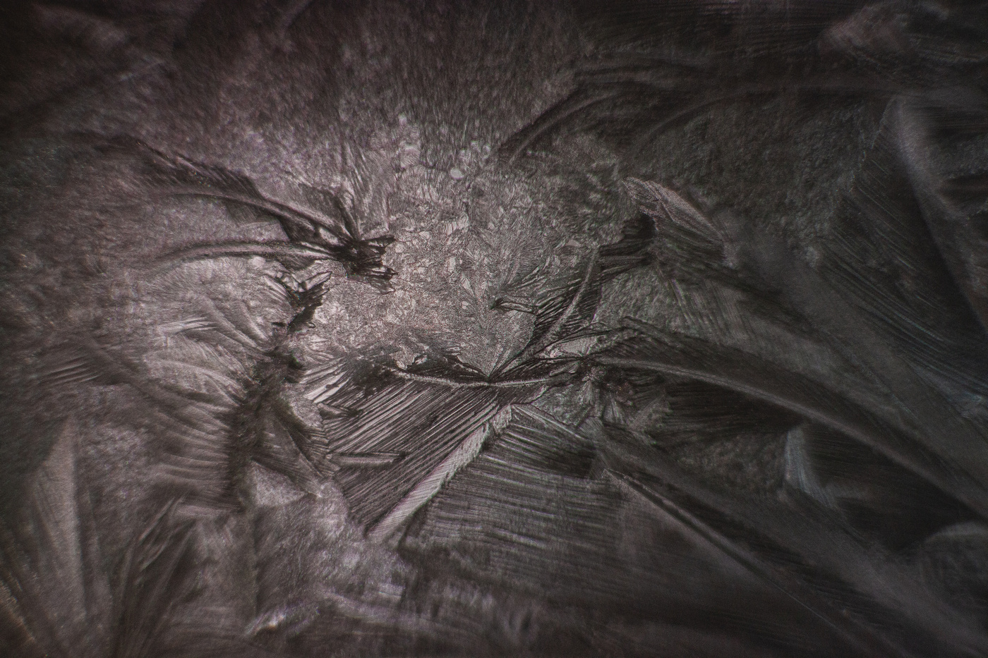 Жизнь вокруг