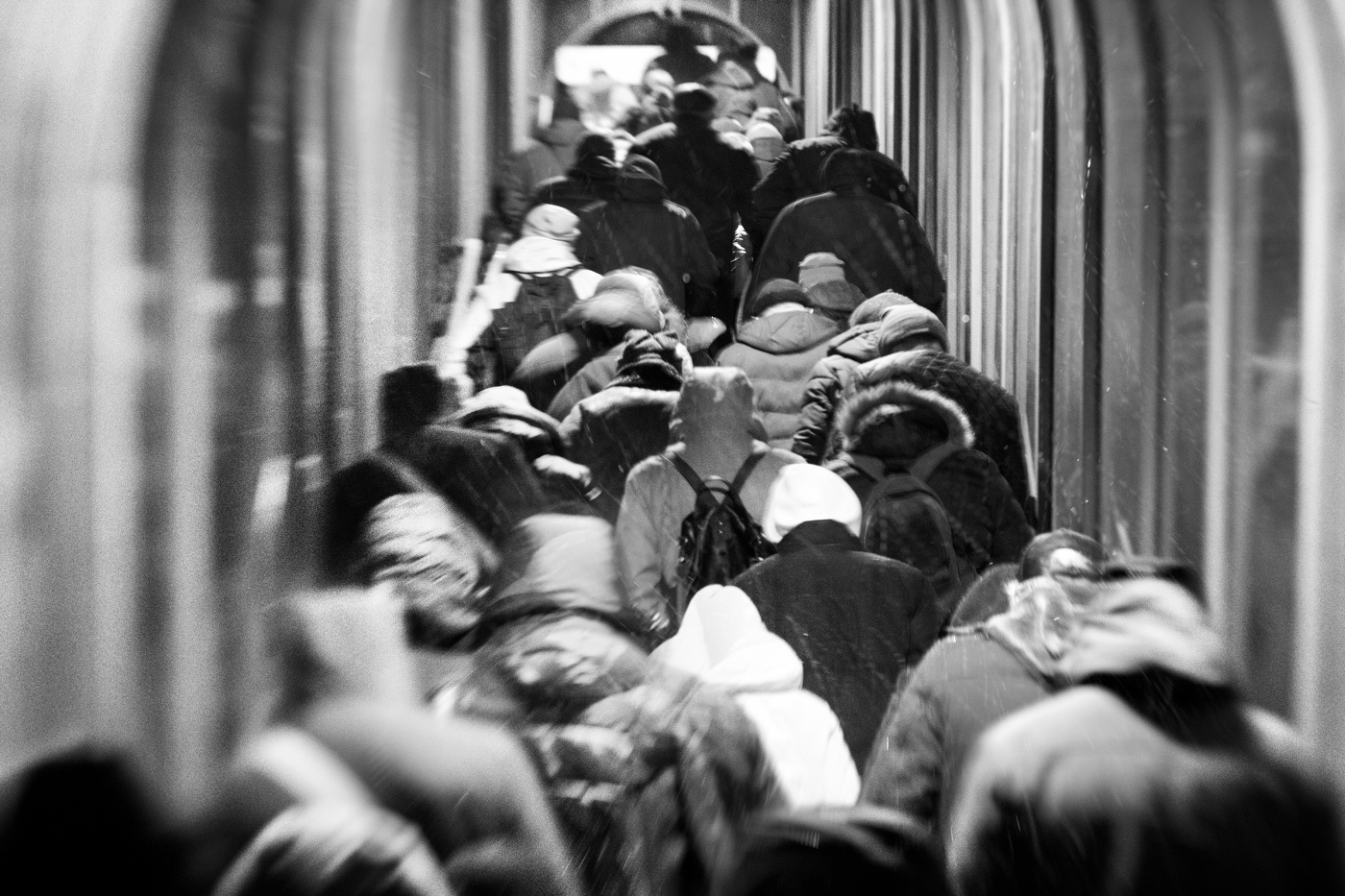 Связанные одной целью