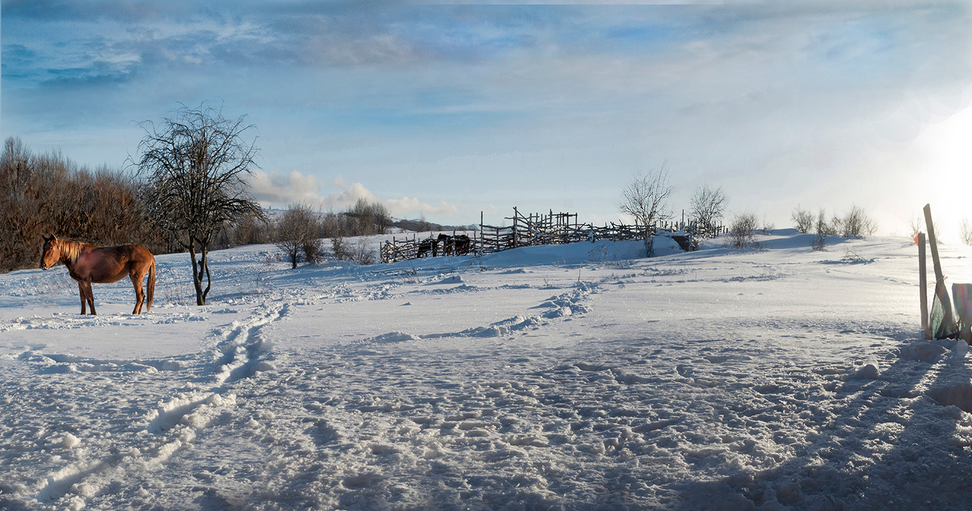 Ну, вот, и зима.