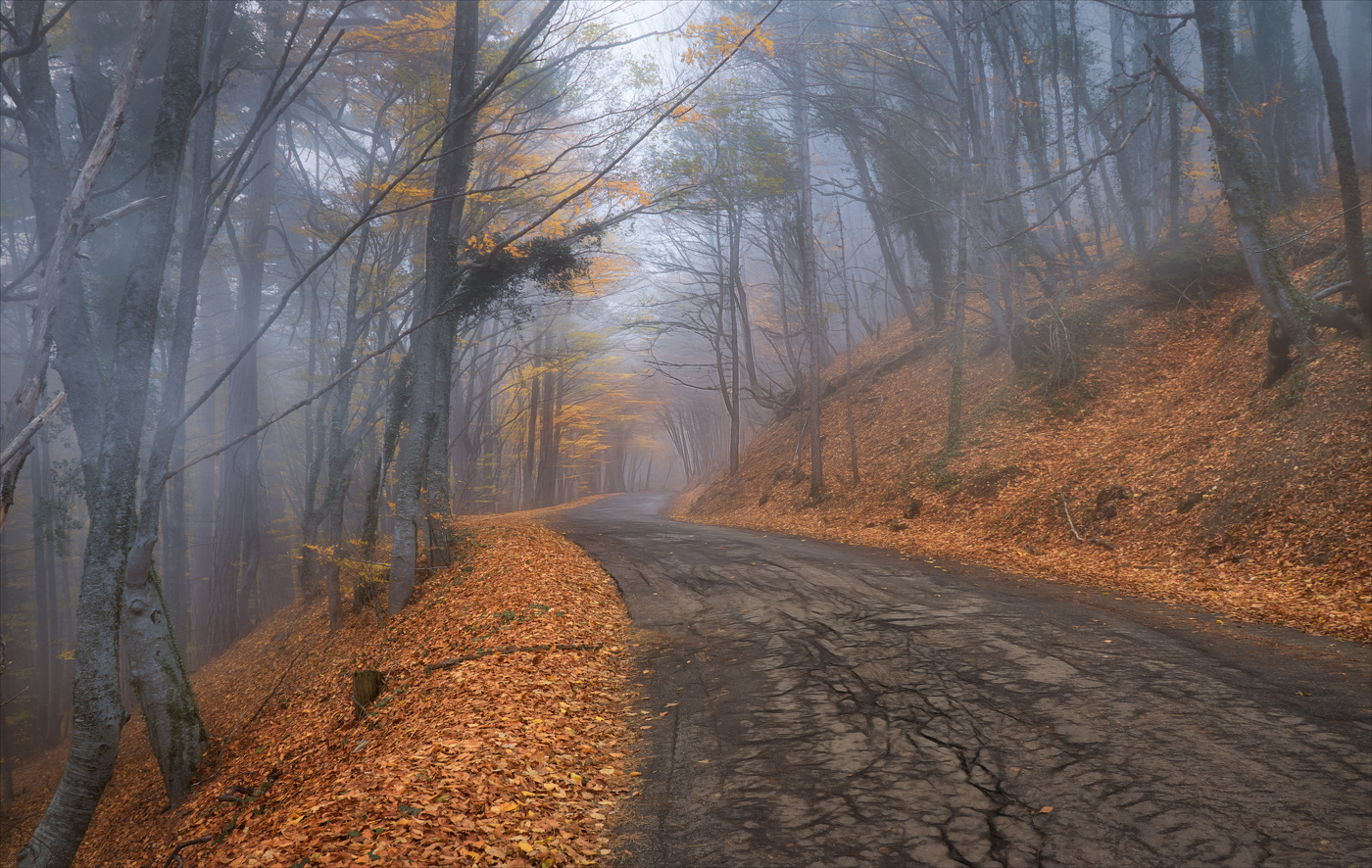 По дороге с туманом.