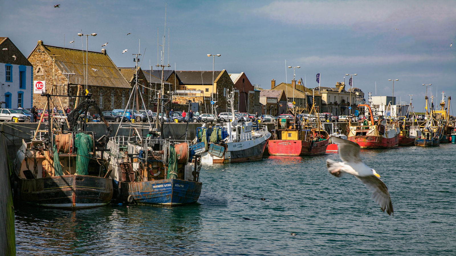 Утром снова в море ...