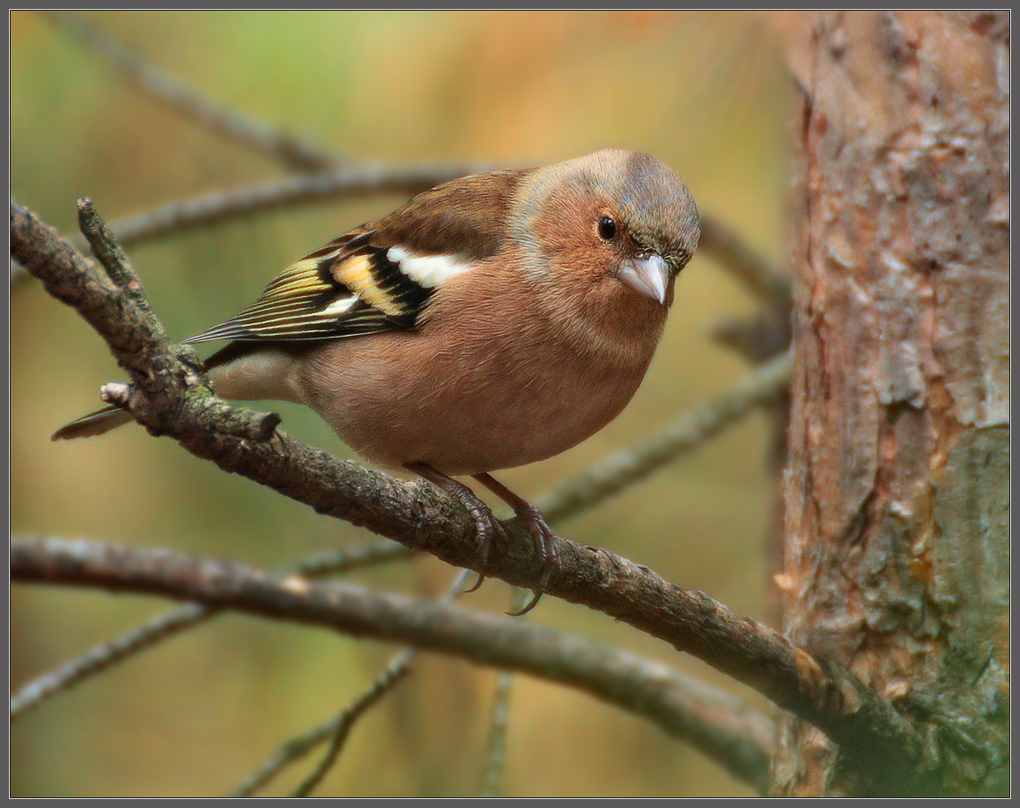 - Кто тут летом сплетничал что я на папу не похож?
