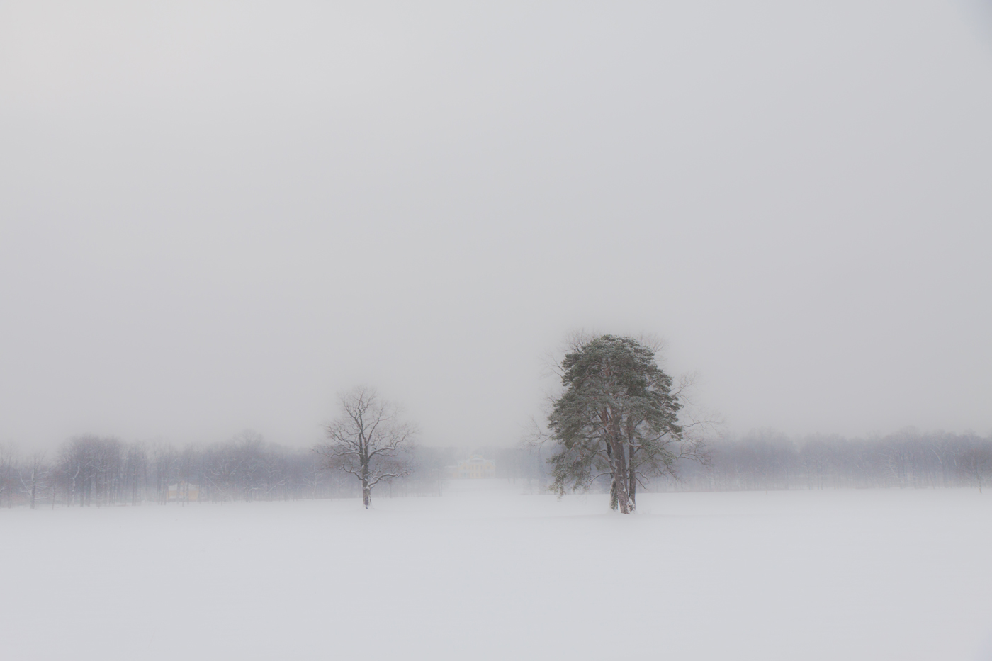 Нестандартный Петергоф - 8