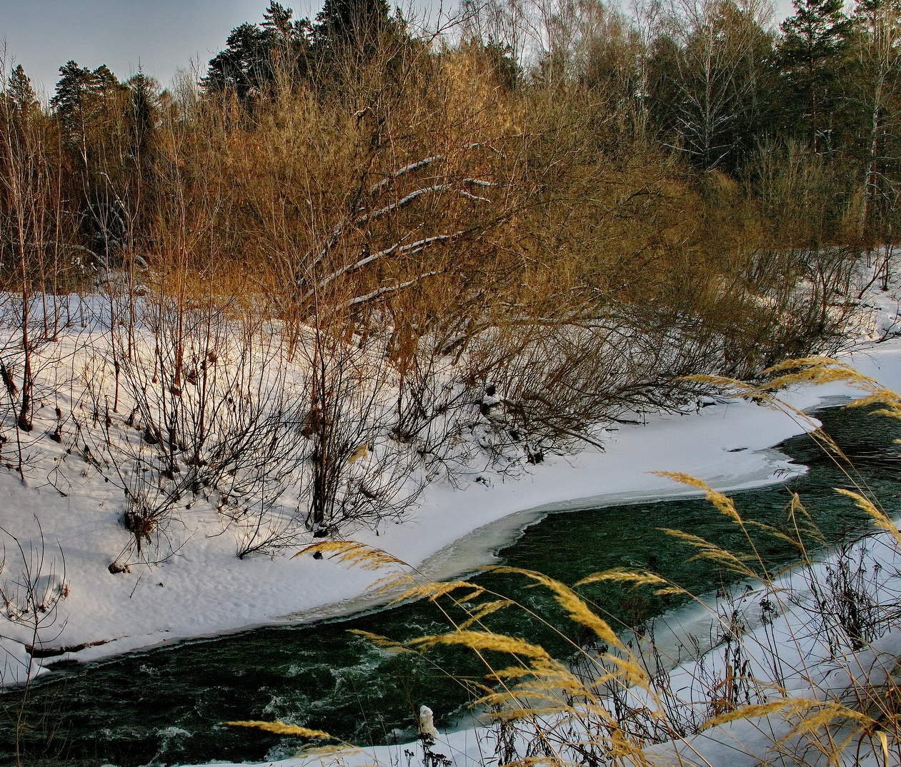 *Лесная речка.**