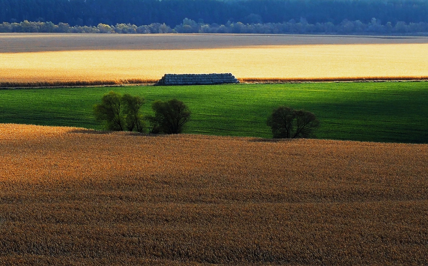 Пойма реки Оки и старицы . Окрестности Перемышля.
