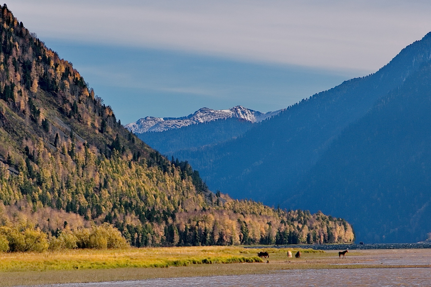 *Осенним днём.**