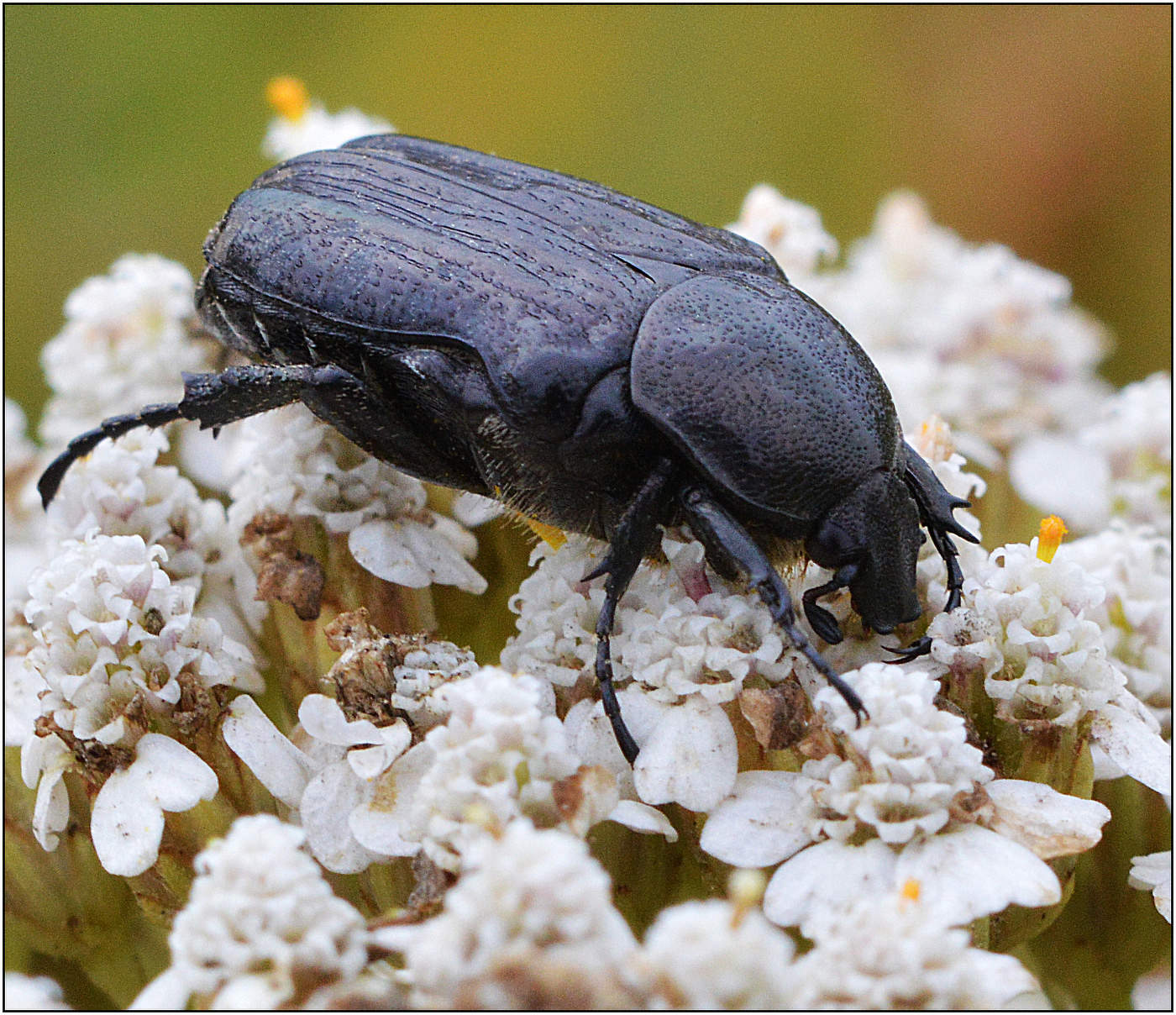 Перекус на ходу.
