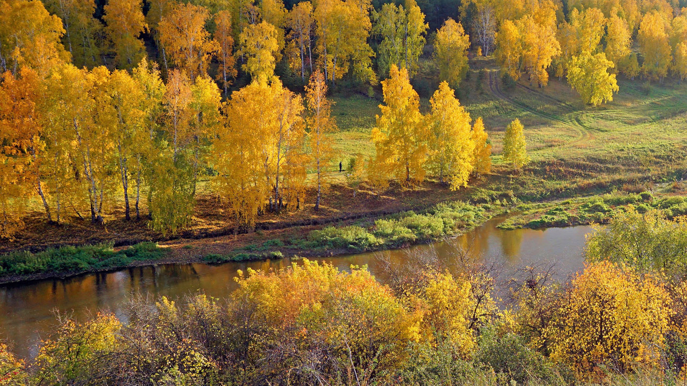 ЗОЛОТО ОСЕНИ