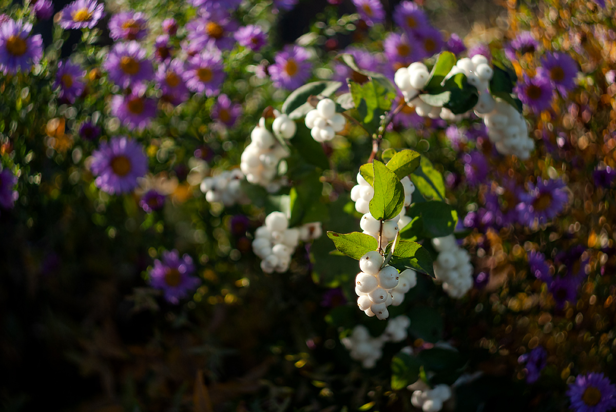 Осенний круговорот