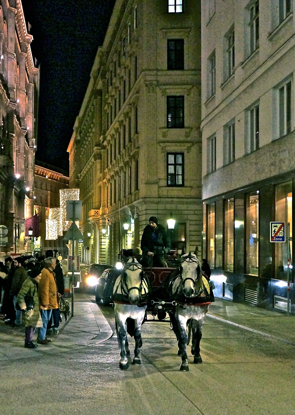 Венские катания