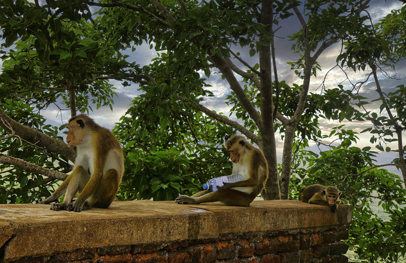 "Пьяный муж - горе семье"