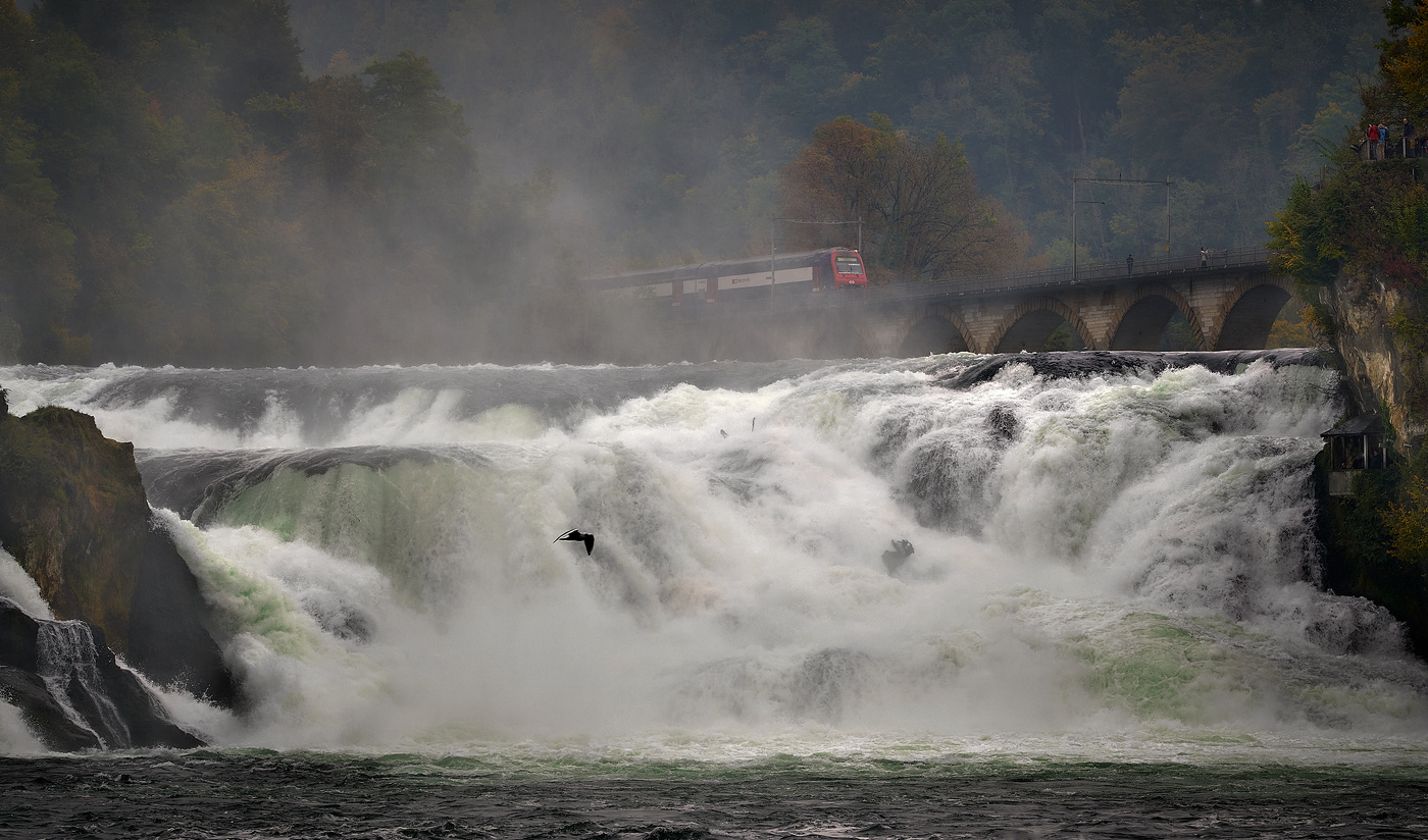 Rhine Falls
