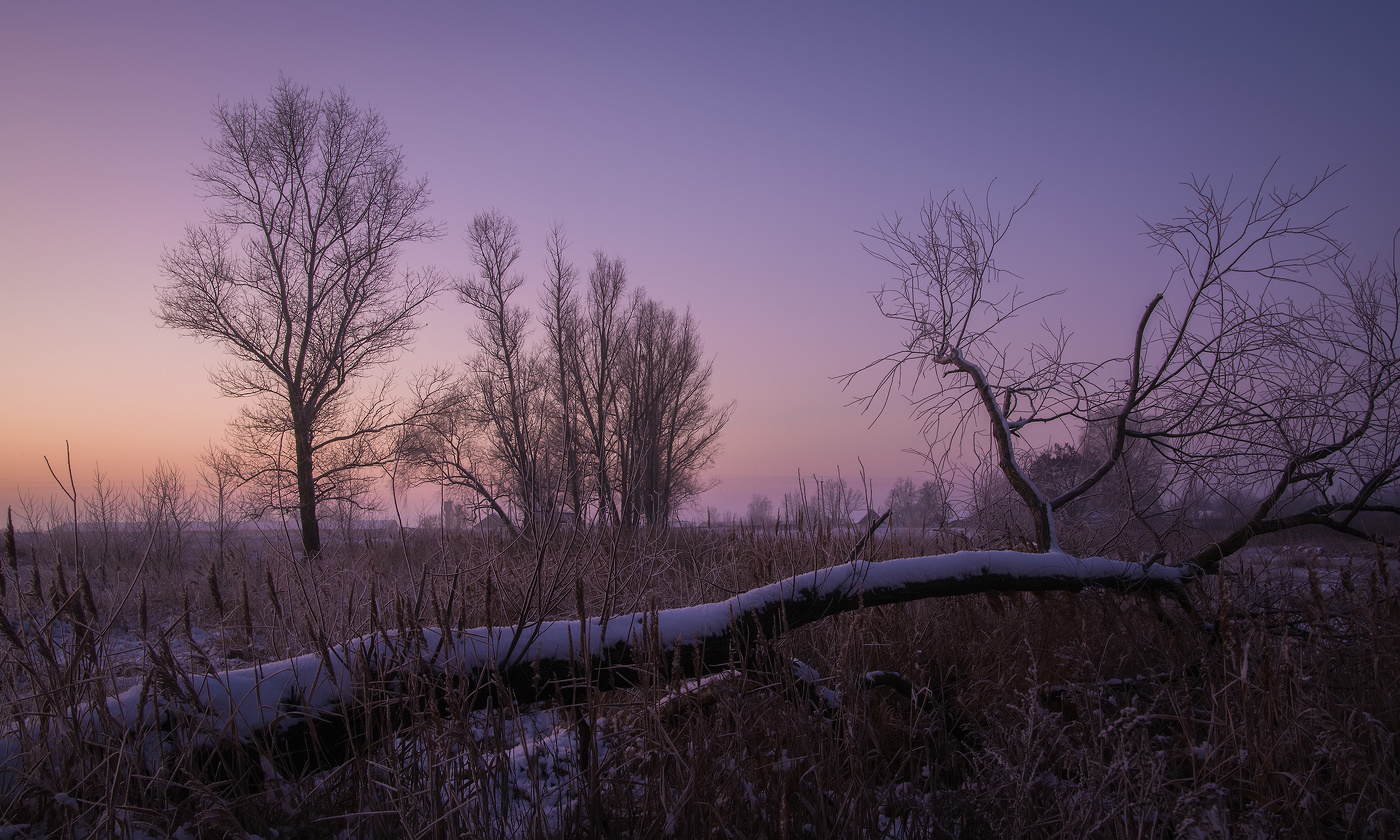 Зимний рассвет