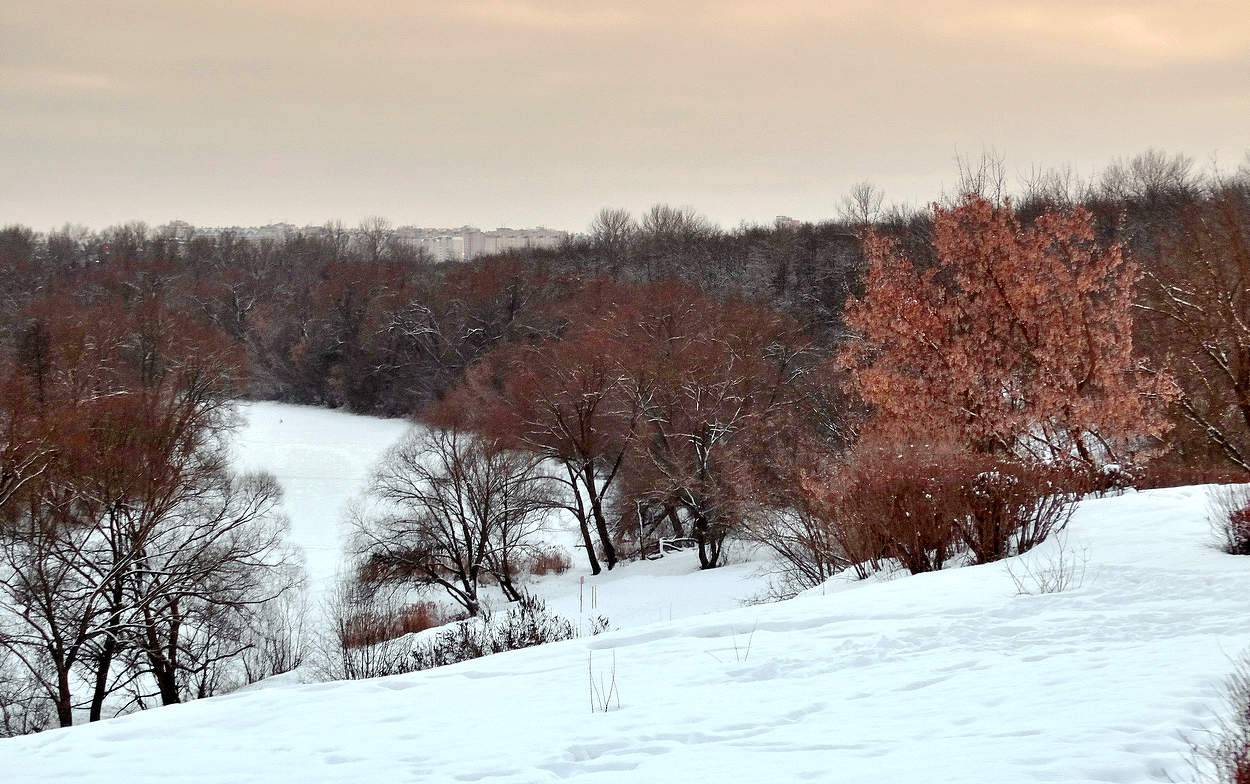 Зима на берегу реки