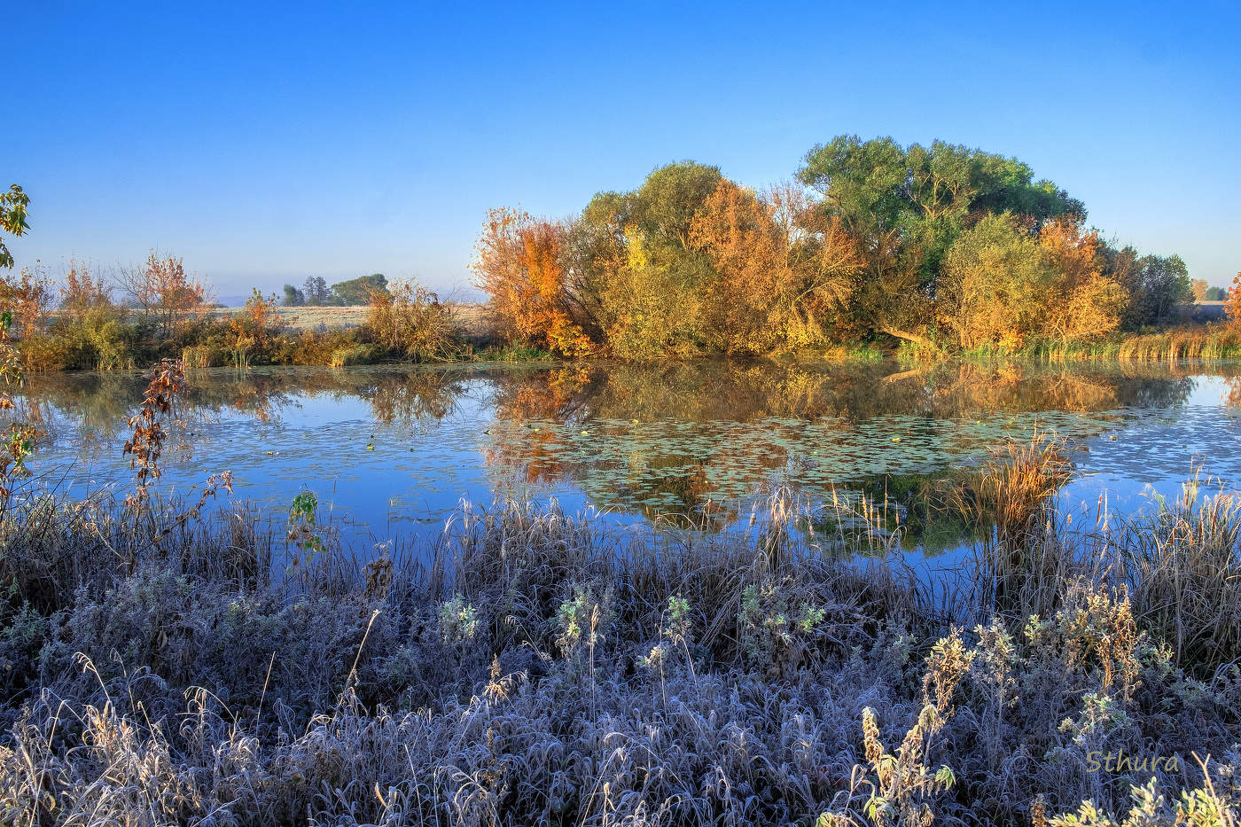 Осенние краски.