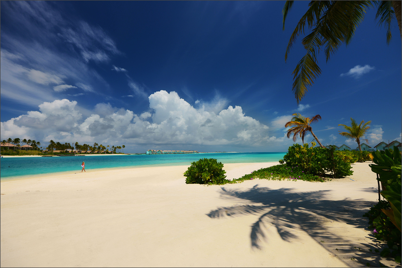 "Вдоль по Питерской..."