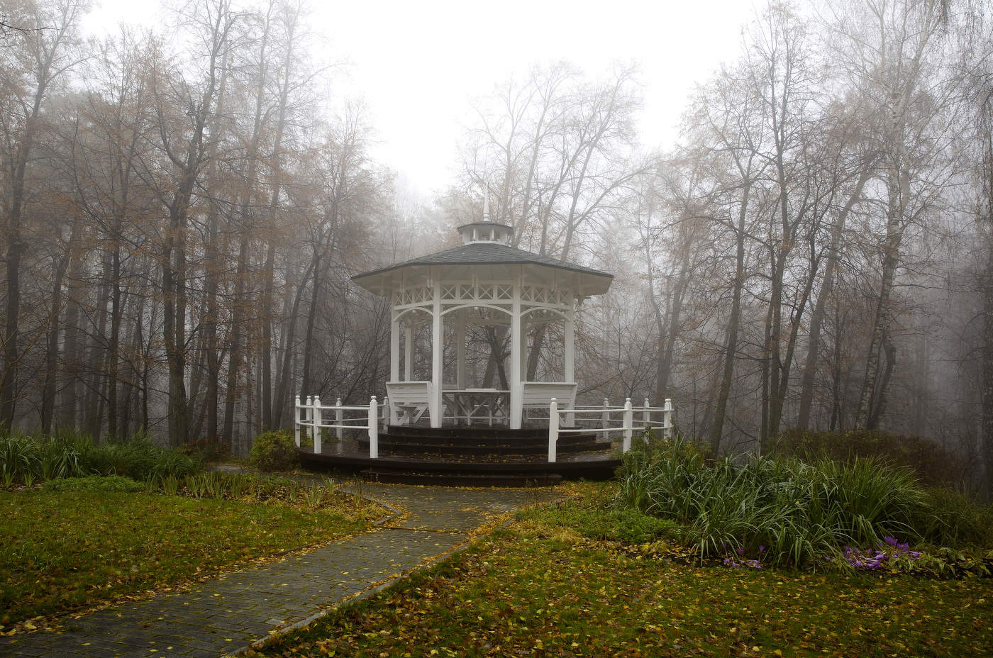 Осенний пейзаж