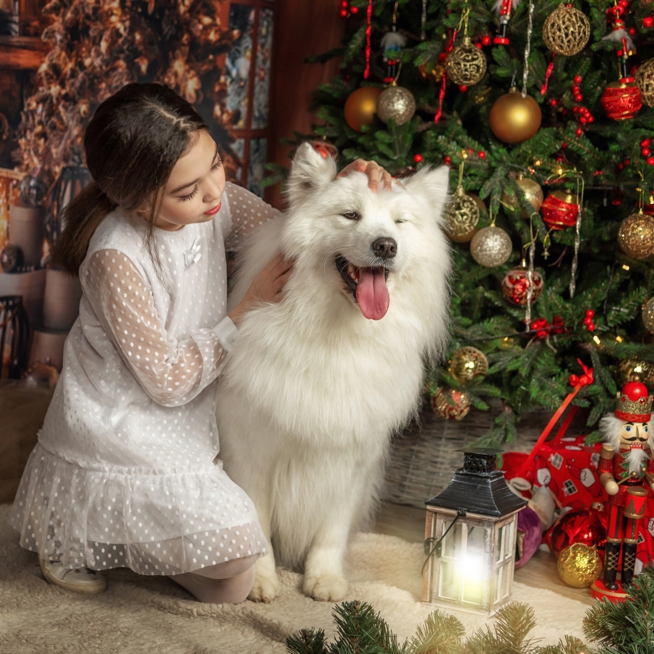 Ласковая дрессура