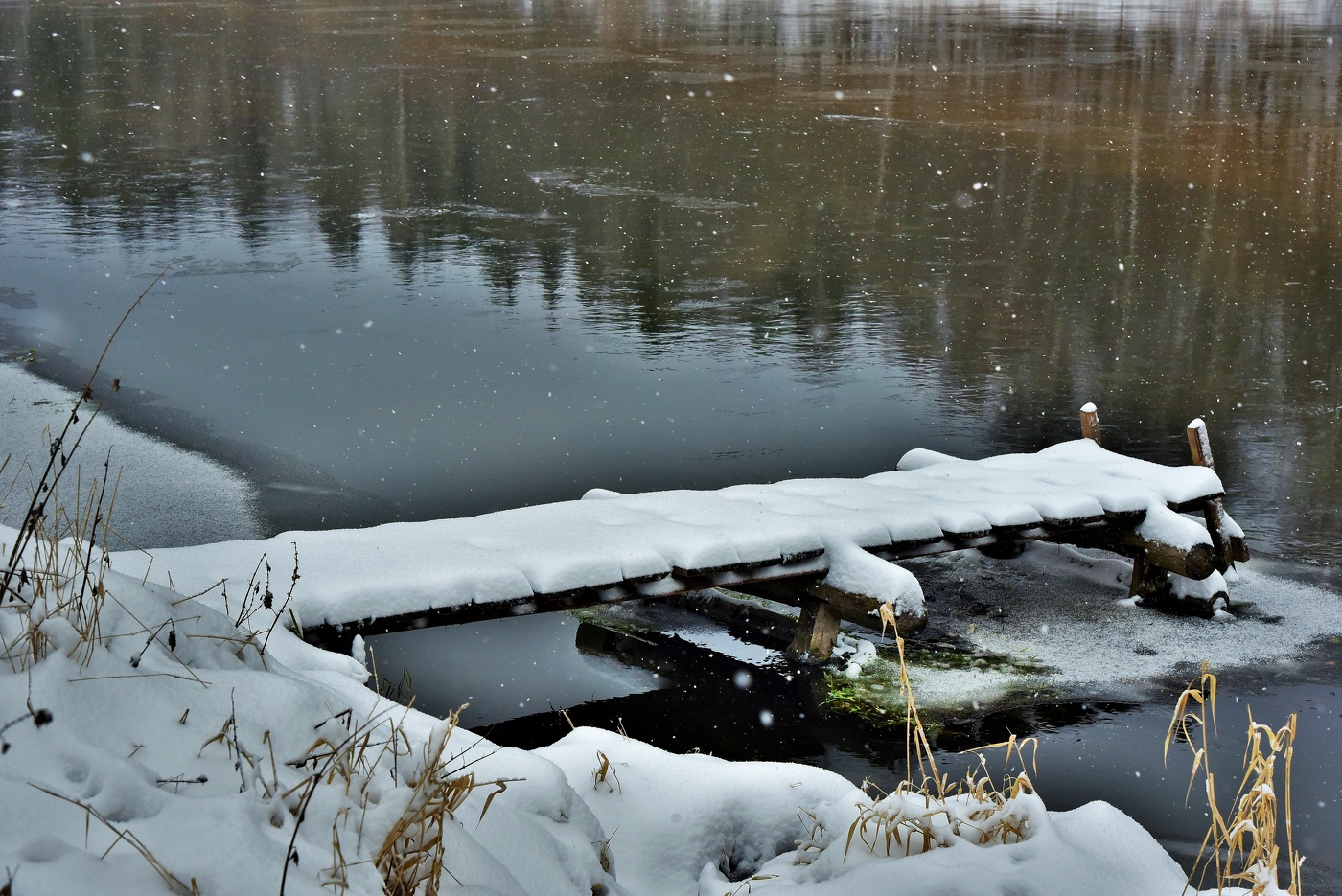 Начало декабря ...