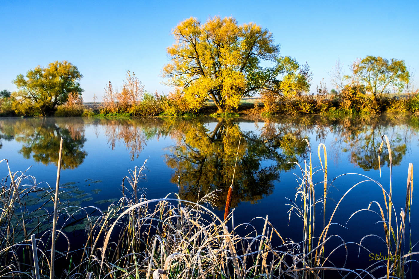 Утренняя тишина.