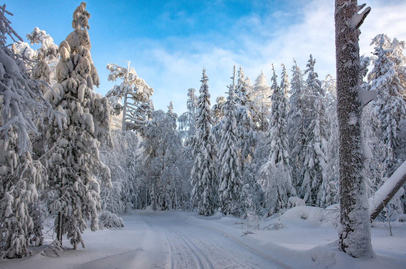 Зимняя сказка