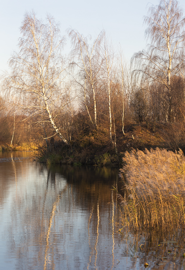 Осенний этюд