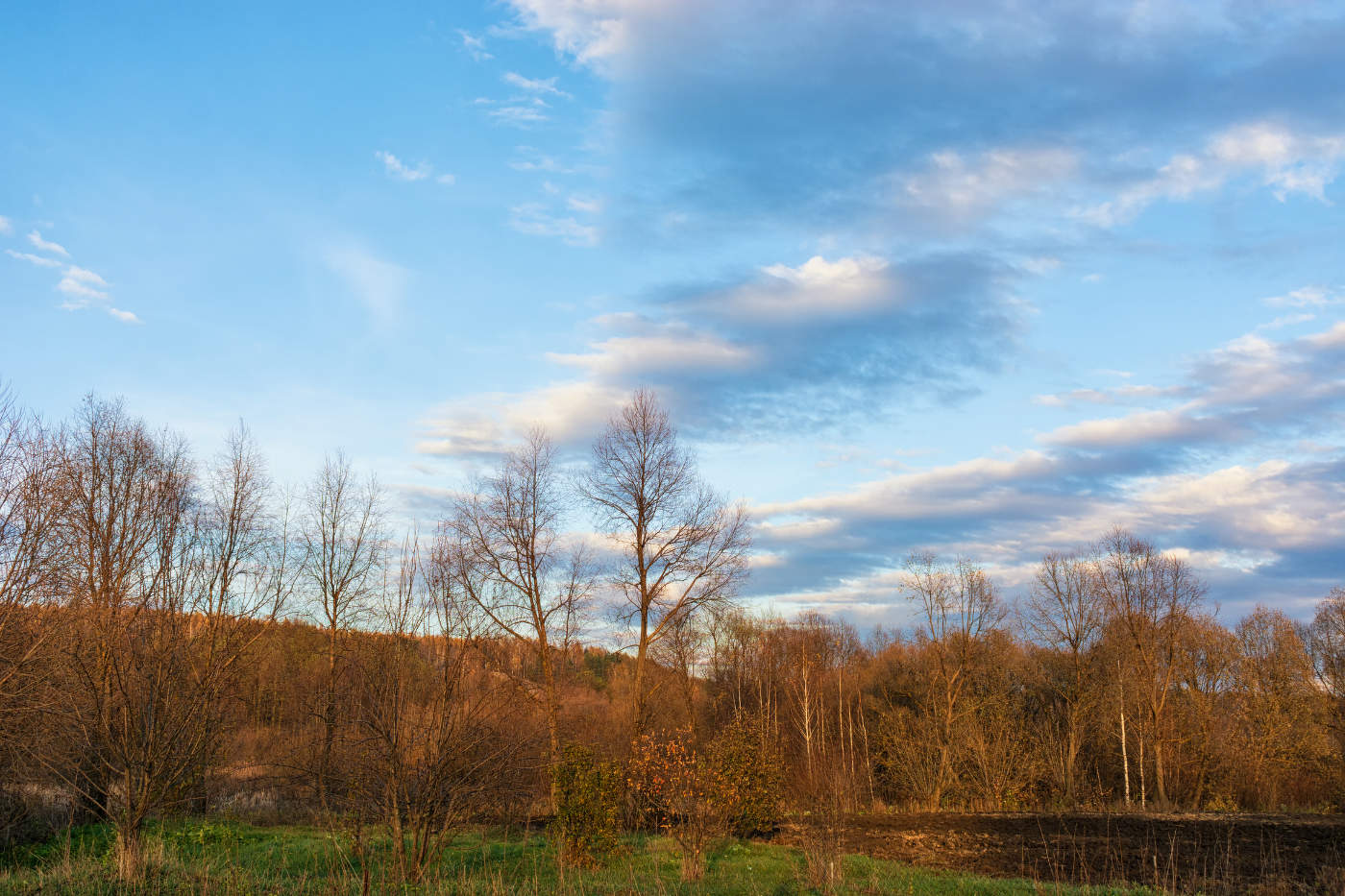 Октябрьское...Светлое...Вечернее...