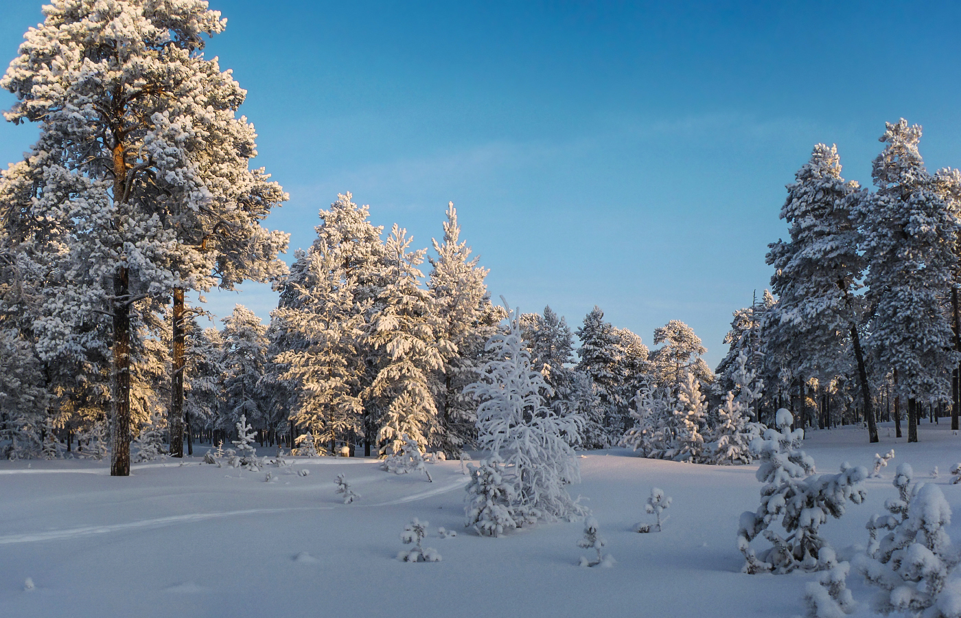 морозный воздух звонкий голубой...
