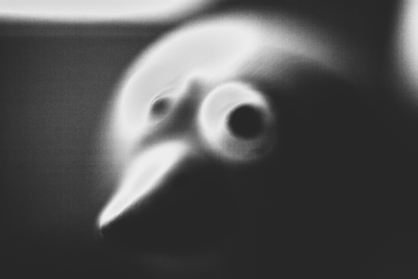 Жизнь вокруг