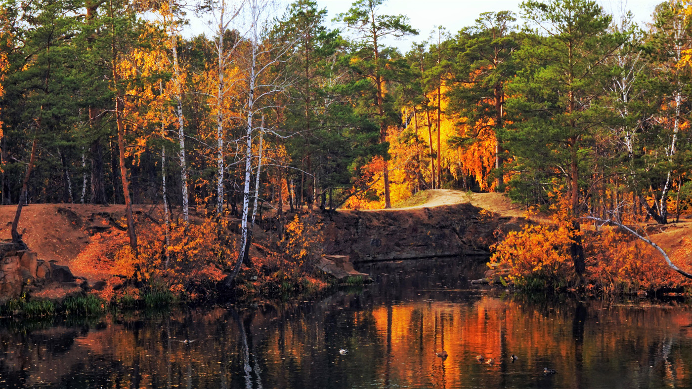 Контрасты золотой осени