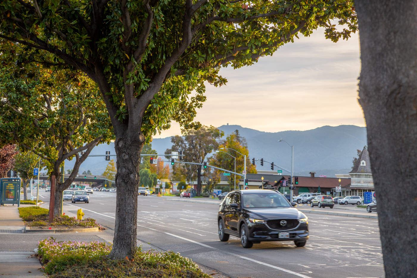 Улица Алмаден. Калифорния