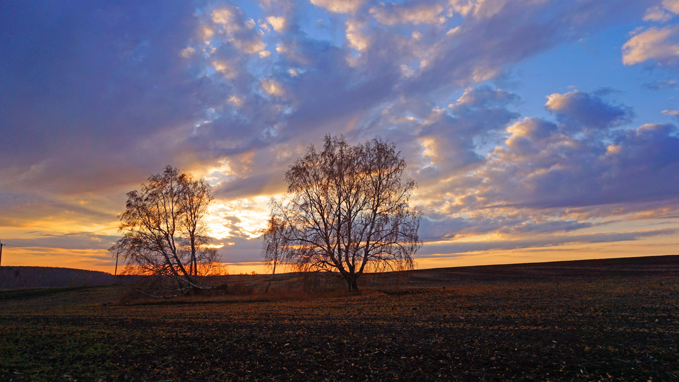 ПОЗДНЯЯ ОСЕНЬ