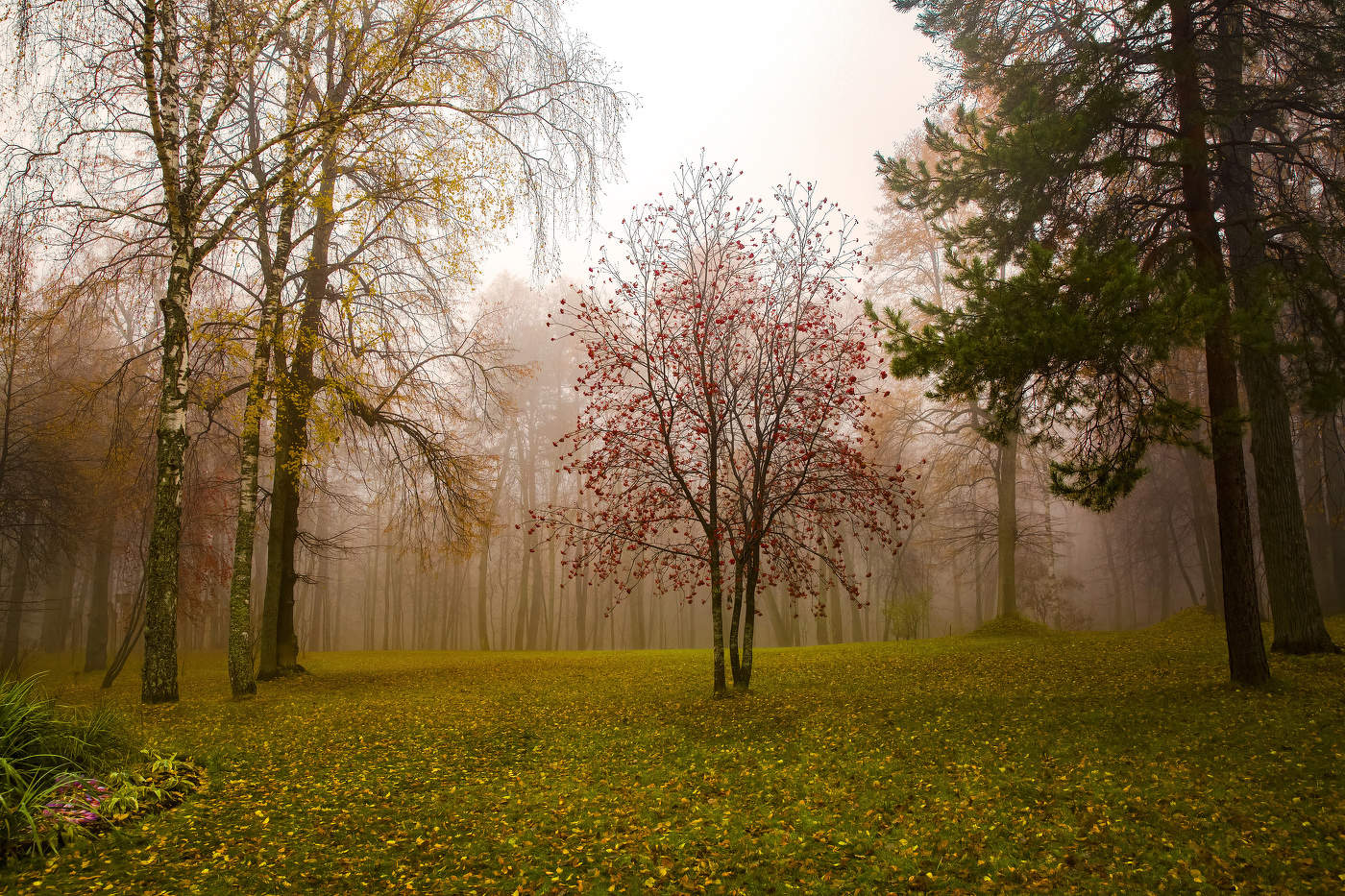"Многоцветная осень"