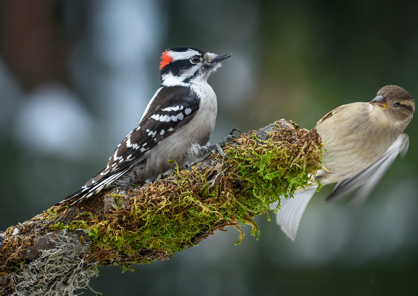 Rivals~конкуренты